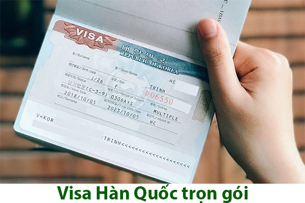 Dịch vụ xin Visa Hàn Quốc trọn gói tại Gia Lai